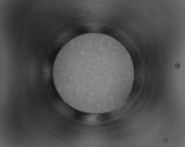 X0000102810090200809081118