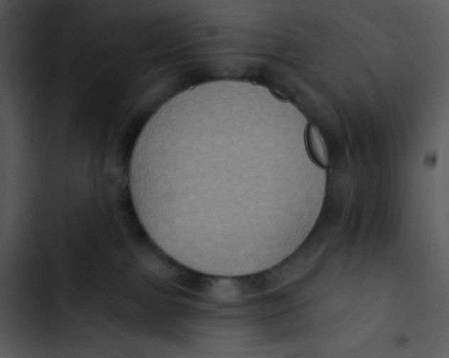 X0000102810091200809081118