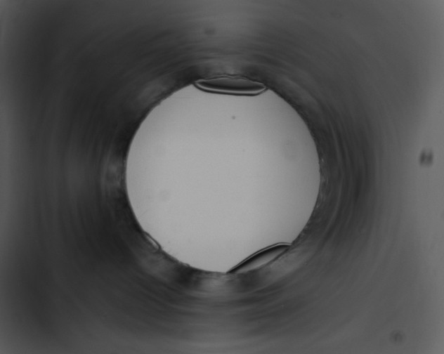 X0000102810096200809081118