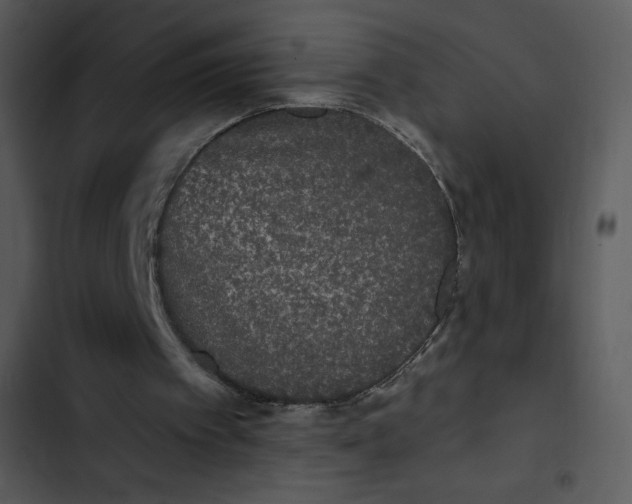 X0000102810097200809081117