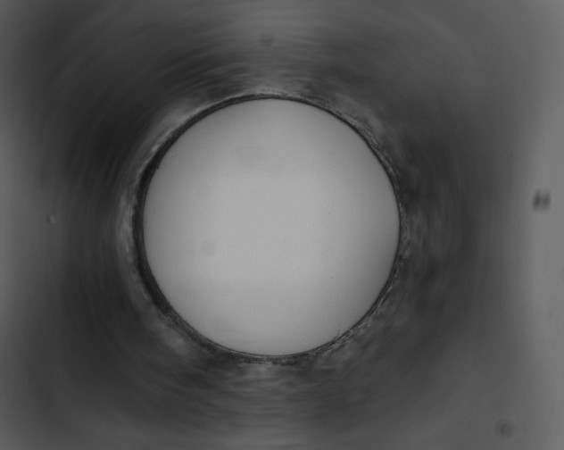 X0000102810098200809081117