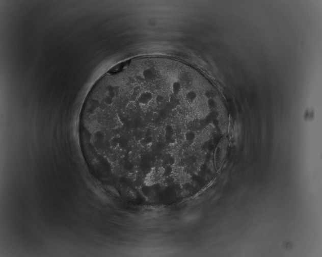 X0000102810099200809081117