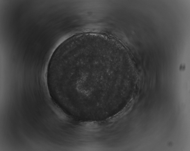 X0000102810100200809081117