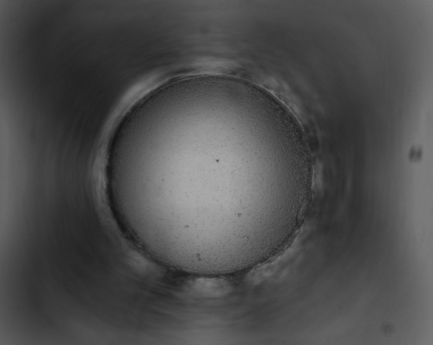 X0000102810101200809081117