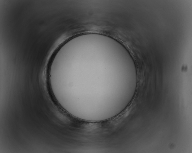 X0000102810102200809081117