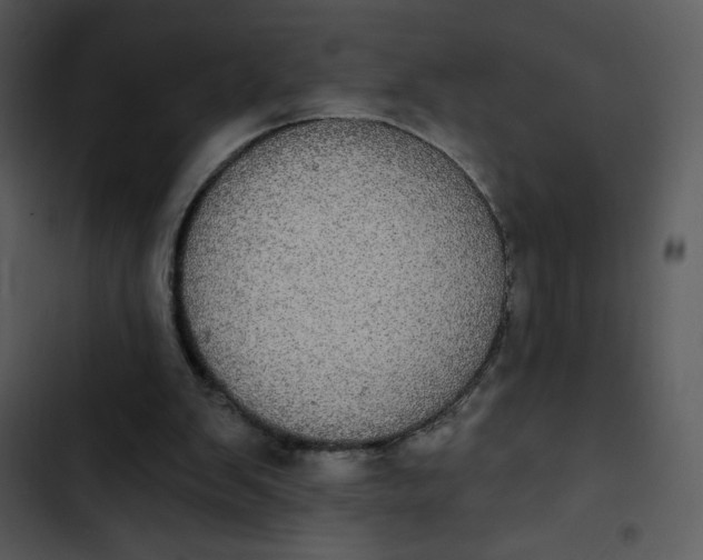 X0000102810103200809081117