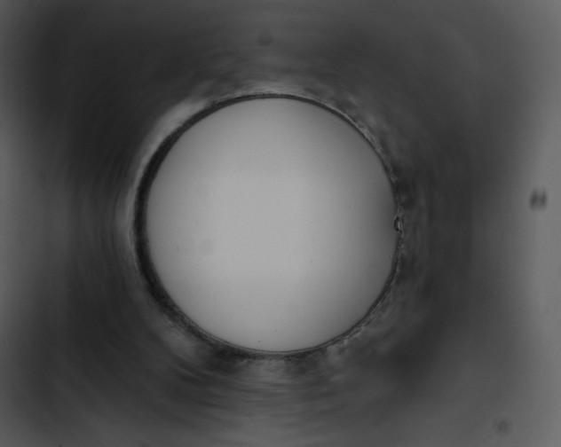 X0000102810104200809081117