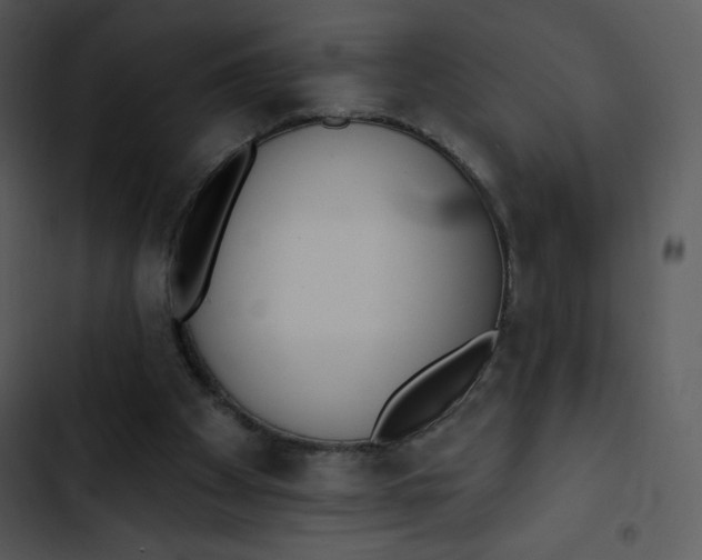 X0000102810105200809081117