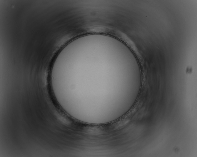 X0000102810106200809081117