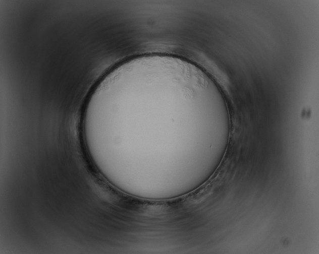 X0000102810107200809081117