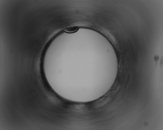 X0000102810108200809081117