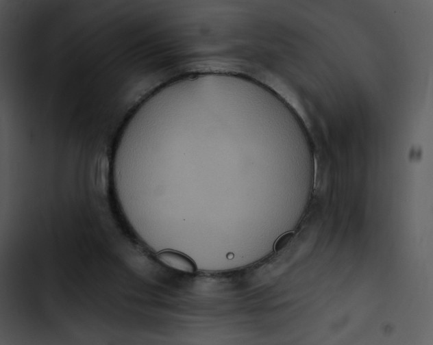 X0000102810109200809081117