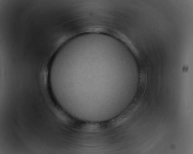 X0000102810110200809081117