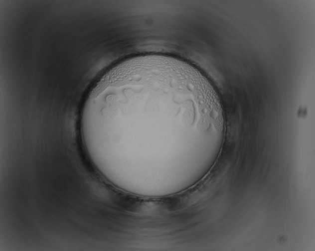 X0000102810111200809081117