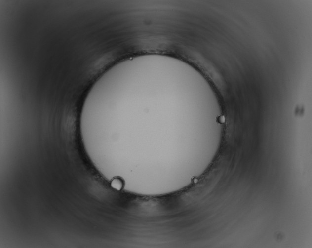 X0000102810113200809081117