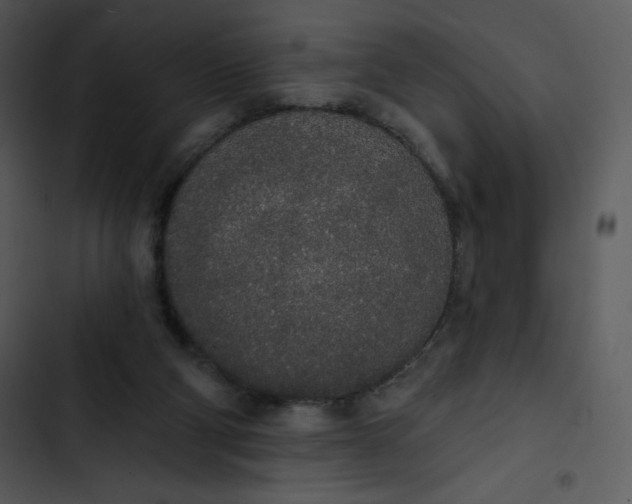 X0000102810114200809081117