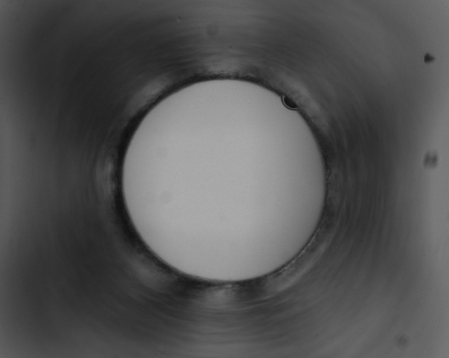 X0000102810116200809081117