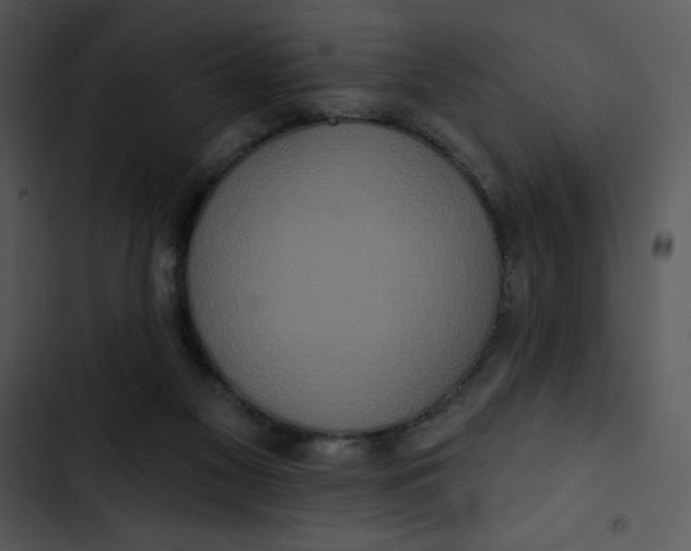 X0000102810117200809081117