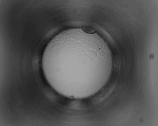 X0000102810119200809081117