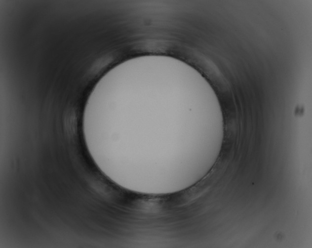 X0000102810120200809081117