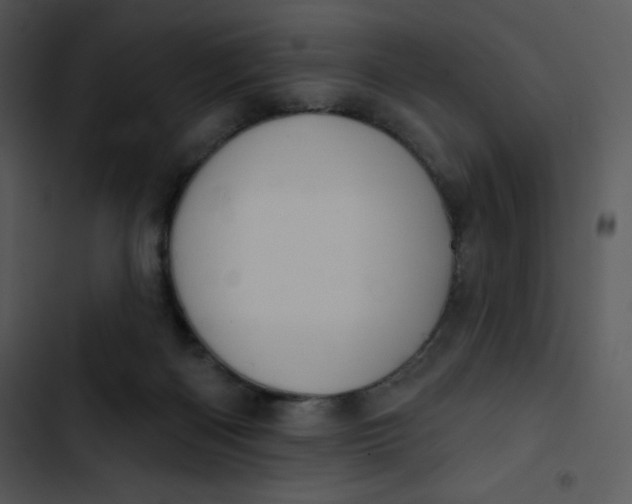 X0000102810122200809081117