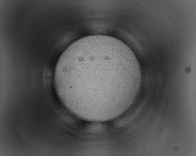 X0000102810123200809081117