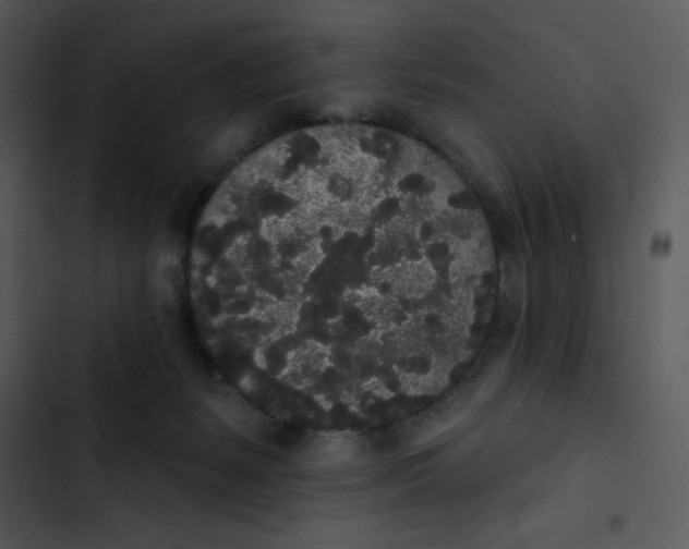 X0000102810127200809081117