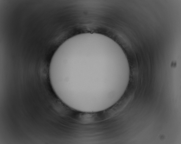 X0000102810129200809081117