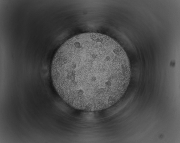 X0000102810131200809081117