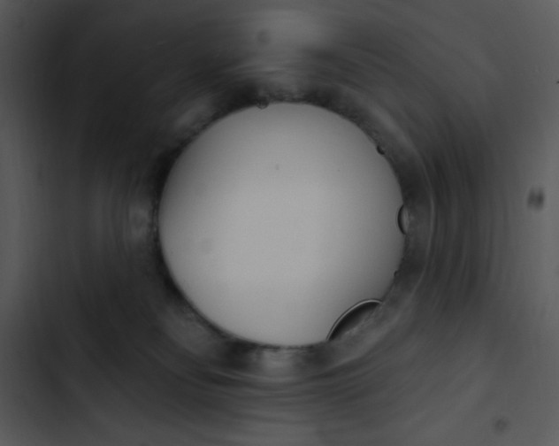 X0000102810134200809081117