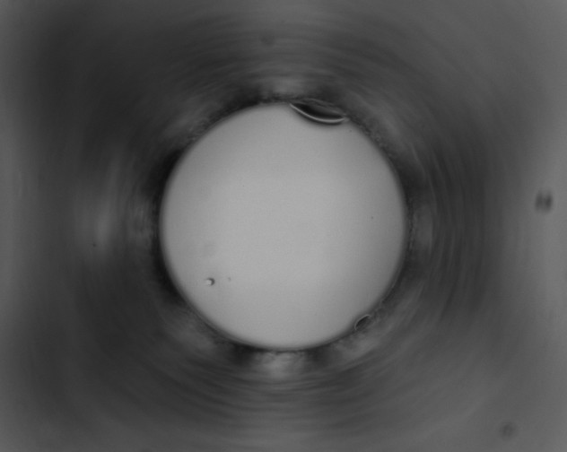 X0000102810135200809081117