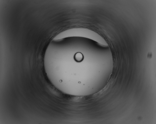 X0000102810136200809081117