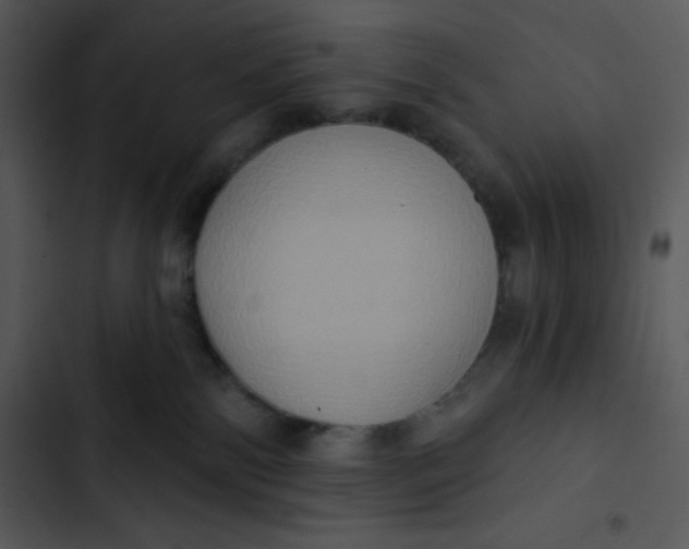 X0000102810138200809081117