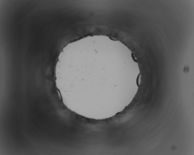 X0000102810144200809081117