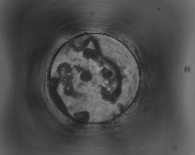 X0000102810145200809081116