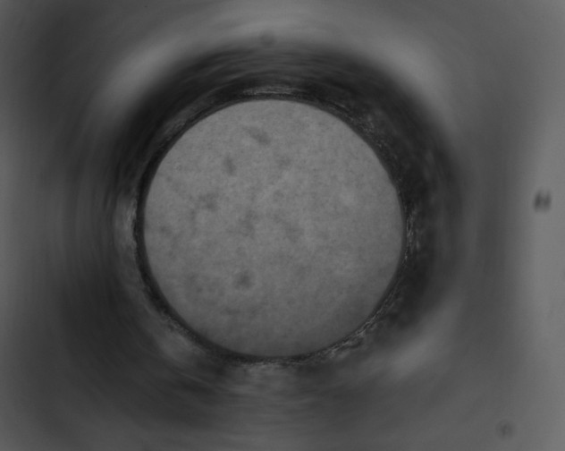 X0000102810146200809081116