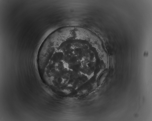 X0000102810147200809081116