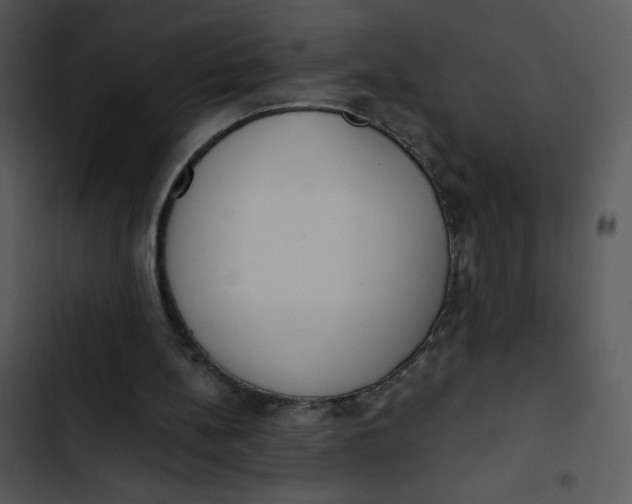 X0000102810148200809081116