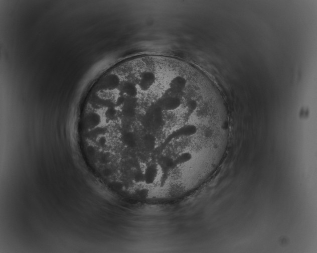 X0000102810149200809081116