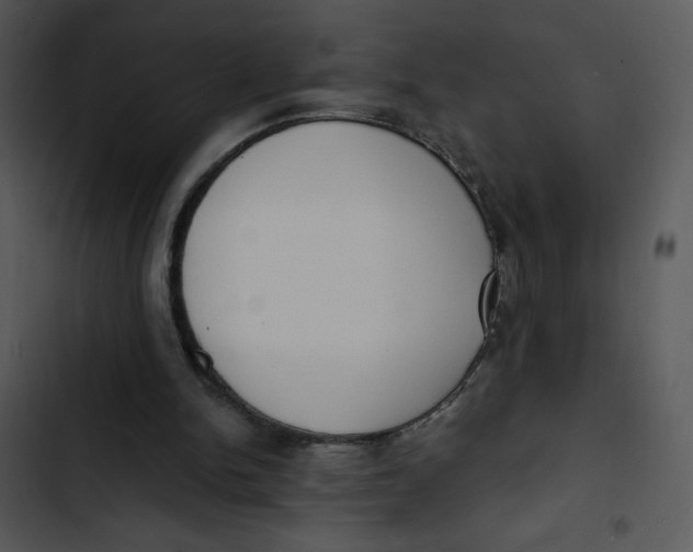 X0000102810150200809081116