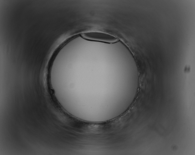 X0000102810152200809081116