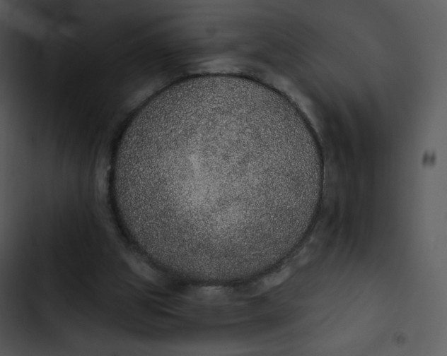 X0000102810153200809081116