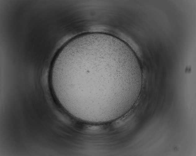 X0000102810155200809081116