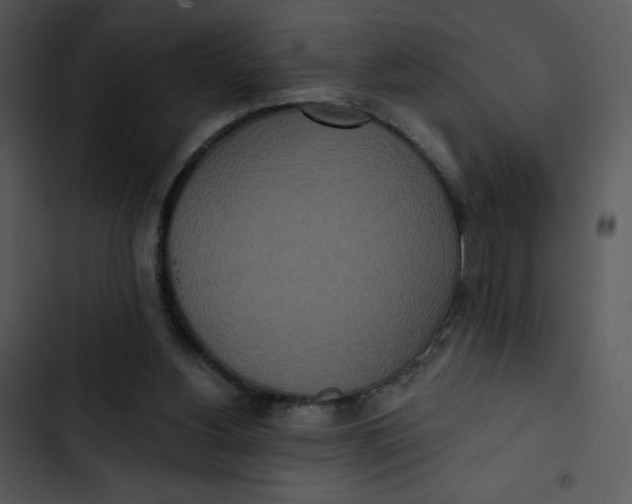 X0000102810156200809081116