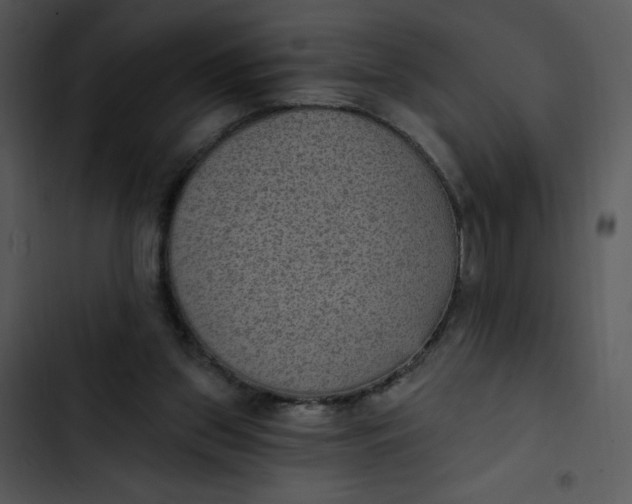 X0000102810157200809081116