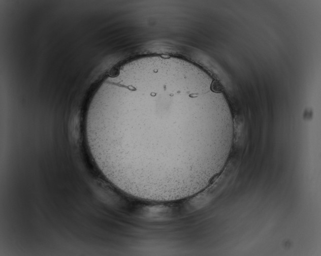 X0000102810158200809081116