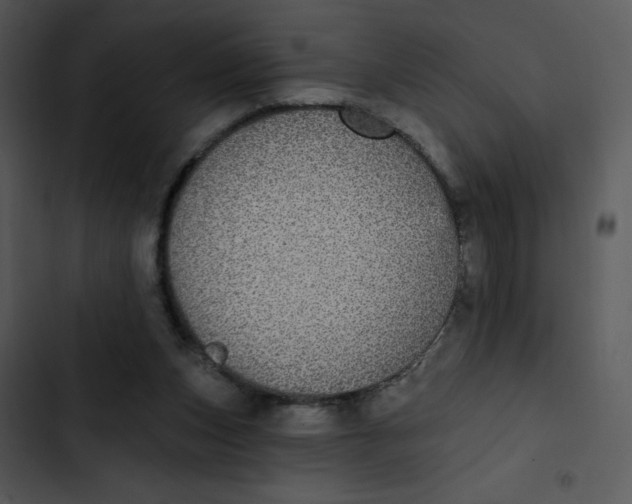 X0000102810159200809081116