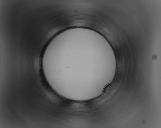 X0000102810160200809081116