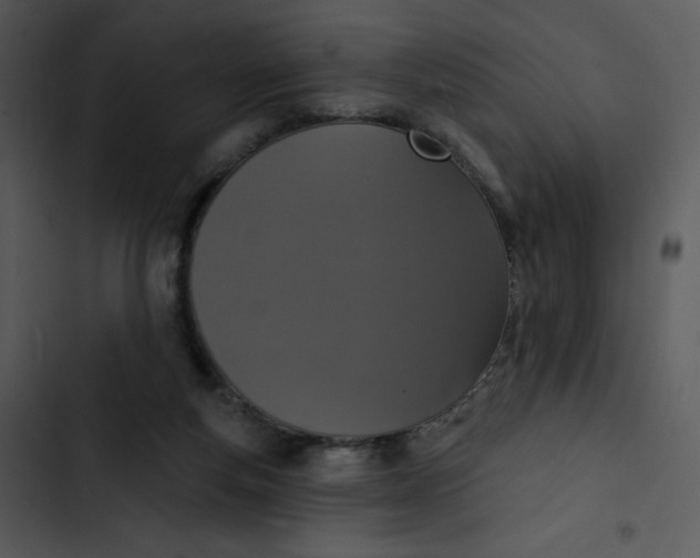 X0000102810163200809081116