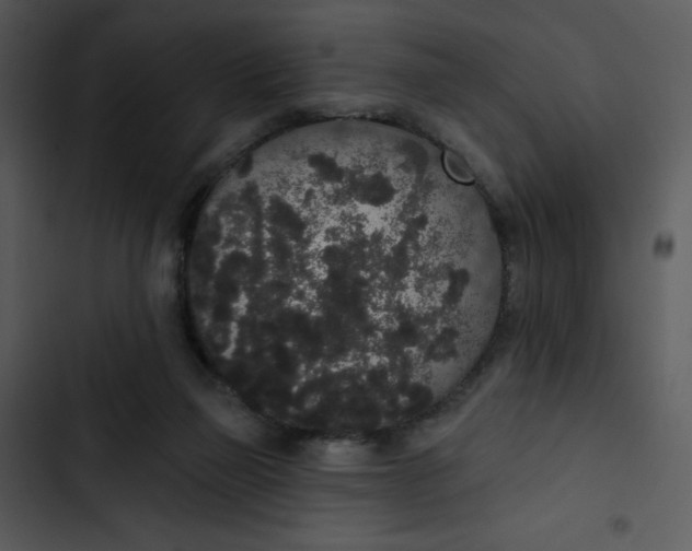 X0000102810165200809081116